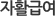 ÀÚȰ±Þ¿©